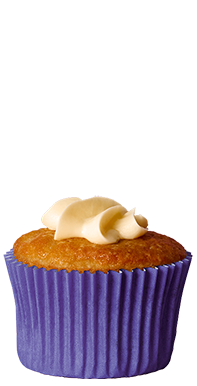 Cupcake with a little icing